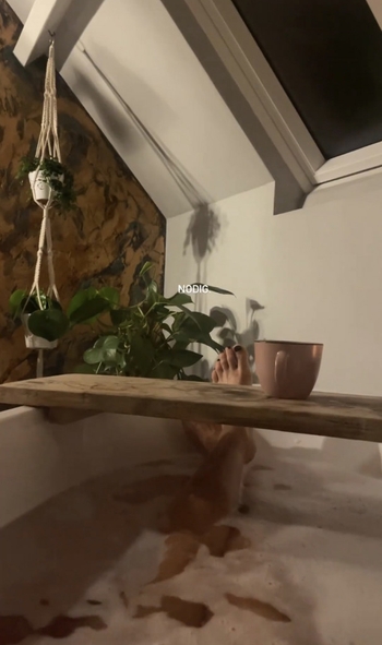 Marieke van Ginneken