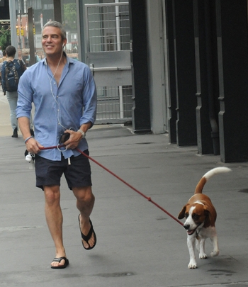 Andy Cohen