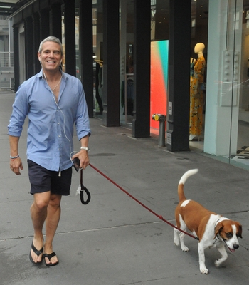 Andy Cohen