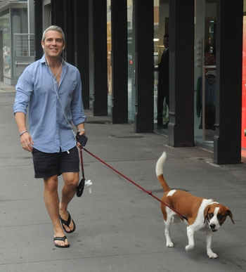 Andy Cohen