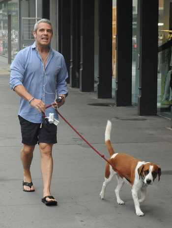 Andy Cohen