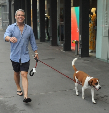 Andy Cohen