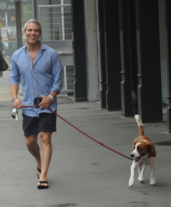 Andy Cohen