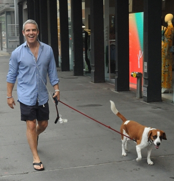 Andy Cohen