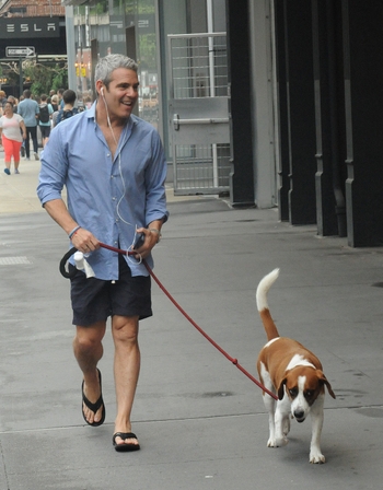 Andy Cohen