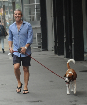 Andy Cohen