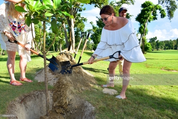 Marcia Gay Harden