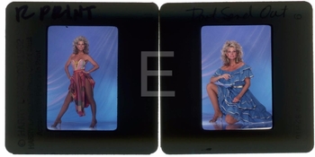 Cathy Lee Crosby