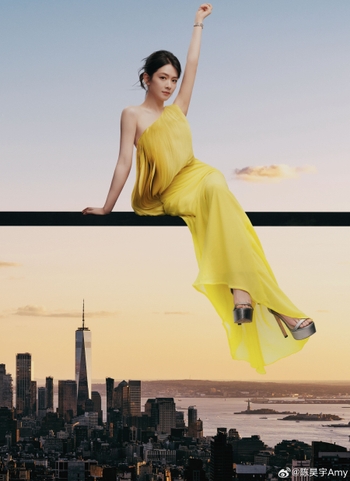 Amy Haoyu Chen