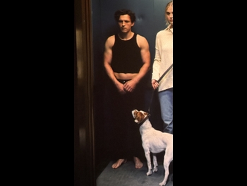  alt="Tom Holland"