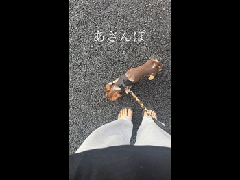  alt="Kanon Miyahara"