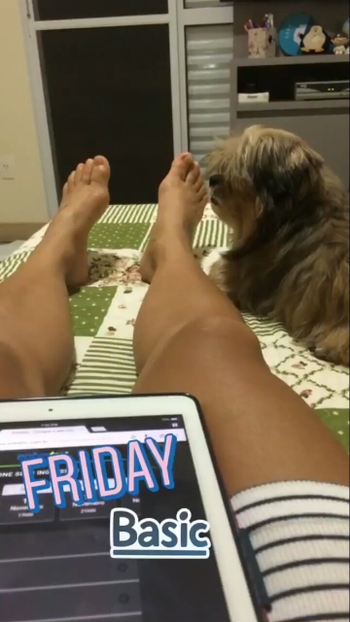 Michelle Nicolini