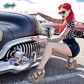 Cervena Fox