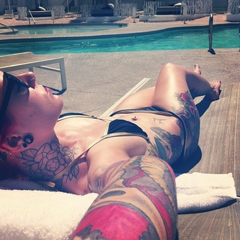 Cervena Fox