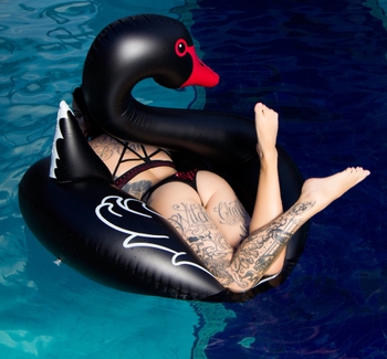 Cervena Fox