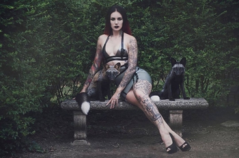 Cervena Fox