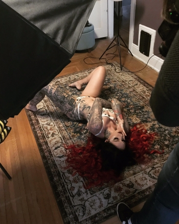 Cervena Fox