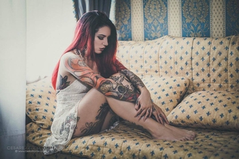 Cervena Fox