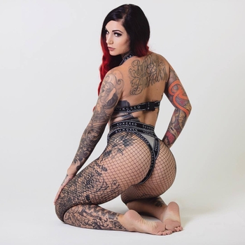 Cervena Fox