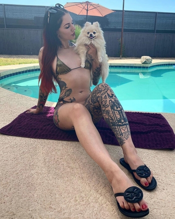 Cervena Fox