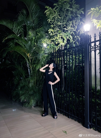 Wang Shuang