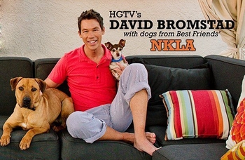 David Bromstad