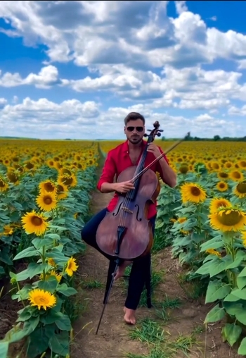 Stjepan Hauser