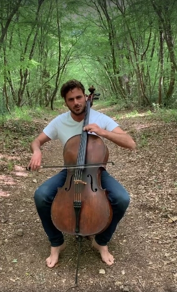 Stjepan Hauser