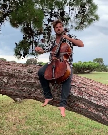 Stjepan Hauser