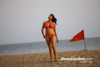 Sai Tamhankar