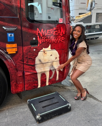 Brandi Rhodes