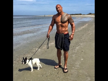  alt="Dwayne Johnson"