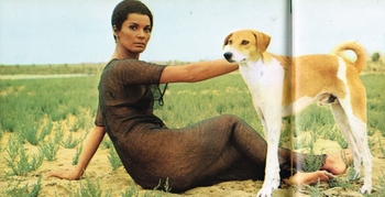 Florinda Bolkan