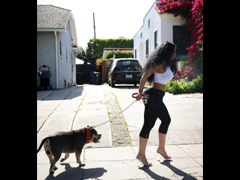  alt="India Love Westbrooks"