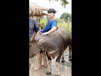  alt="Tawan Vihokratana"