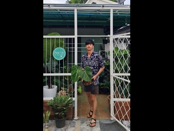  alt="Tawan Vihokratana"