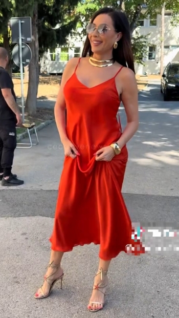 Svetlana-Ceca Raznatovic