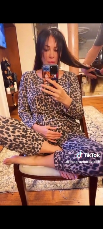 Svetlana-Ceca Raznatovic