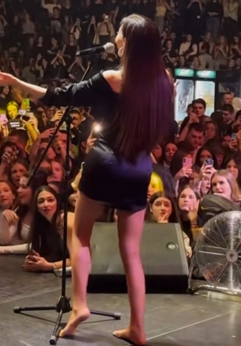 Svetlana-Ceca Raznatovic