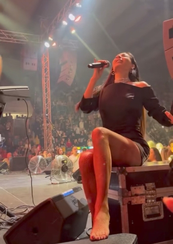 Svetlana-Ceca Raznatovic