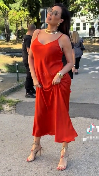 Svetlana-Ceca Raznatovic