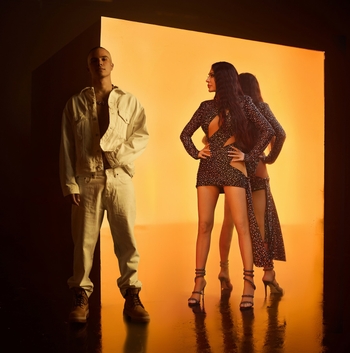 Svetlana-Ceca Raznatovic