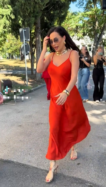 Svetlana-Ceca Raznatovic