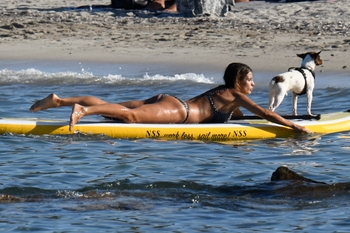 Elisabetta Canalis