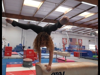  alt="Sofie Dossi"