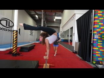  alt="Sofie Dossi"