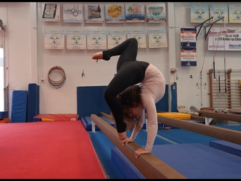  alt="Sofie Dossi"