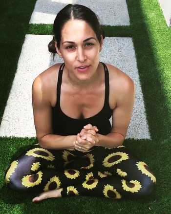 Brie Bella