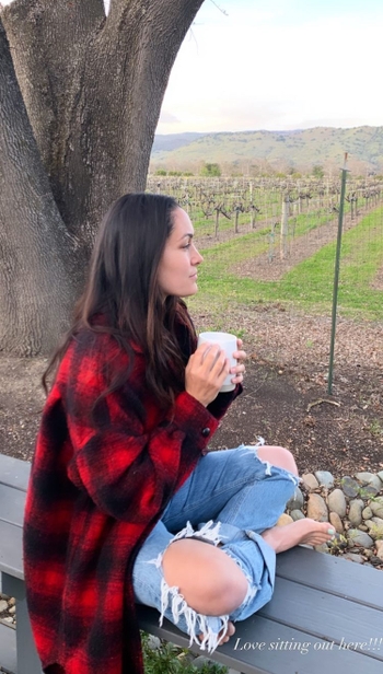 Brie Bella