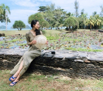 Cecilia Han